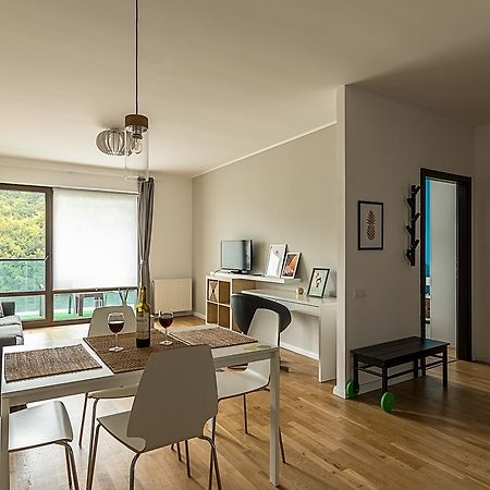 براشوف Tampa Gardens - Mountain View Apartment المظهر الخارجي الصورة