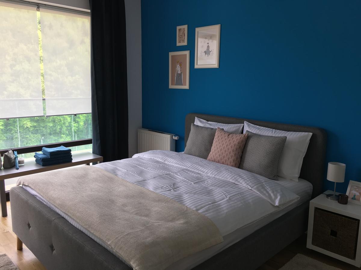 براشوف Tampa Gardens - Mountain View Apartment المظهر الخارجي الصورة