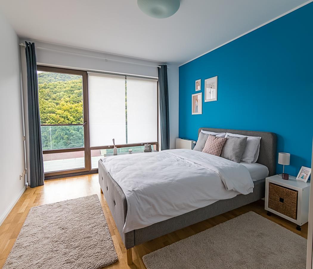 براشوف Tampa Gardens - Mountain View Apartment المظهر الخارجي الصورة