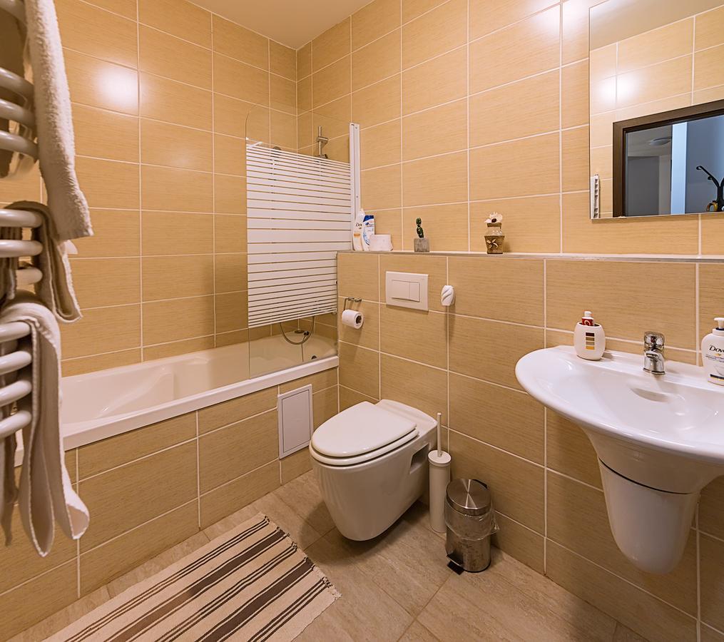 براشوف Tampa Gardens - Mountain View Apartment المظهر الخارجي الصورة