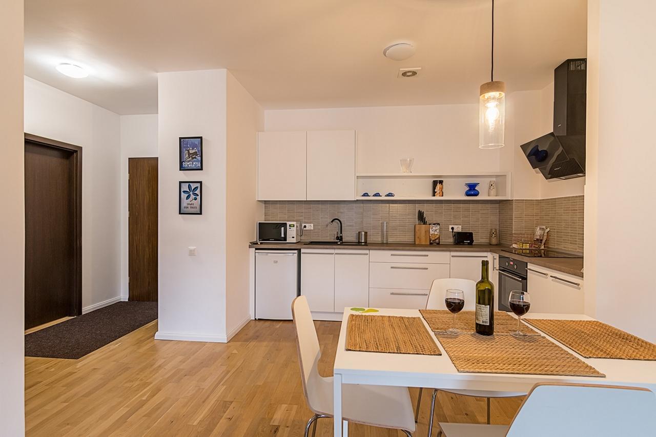 براشوف Tampa Gardens - Mountain View Apartment المظهر الخارجي الصورة